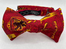 Load image into Gallery viewer, Griffin Broom Team