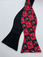 Load image into Gallery viewer, P-Joker